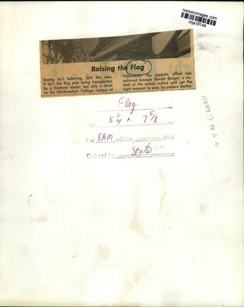 1951 Press Photo A shrub being transported at Watertown while it passes a flag - Image 2