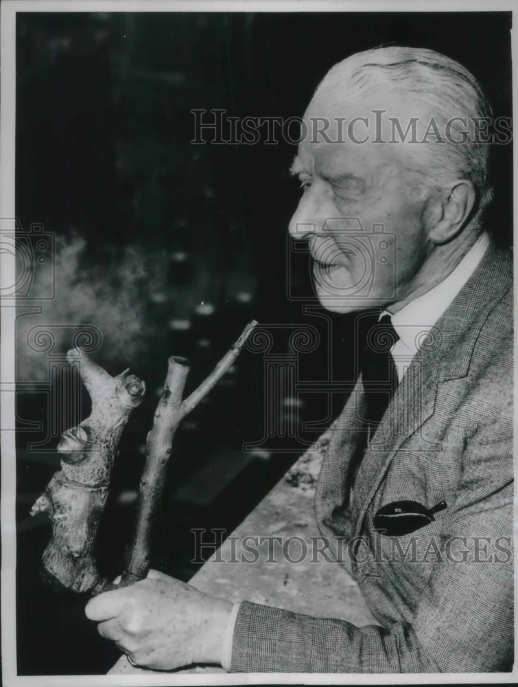 1961 Press Photo London nearest surviving descendent of Sir Waltewr Raleigh is