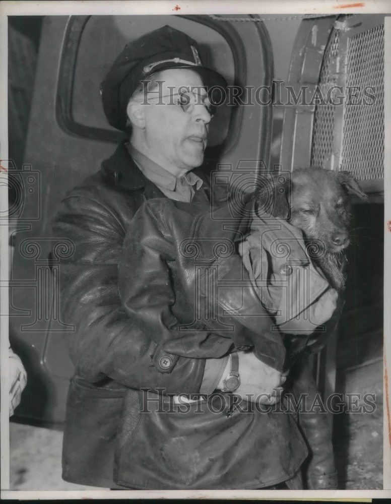 1954 Press Photo Ben Maringer Anti Cruelty Society