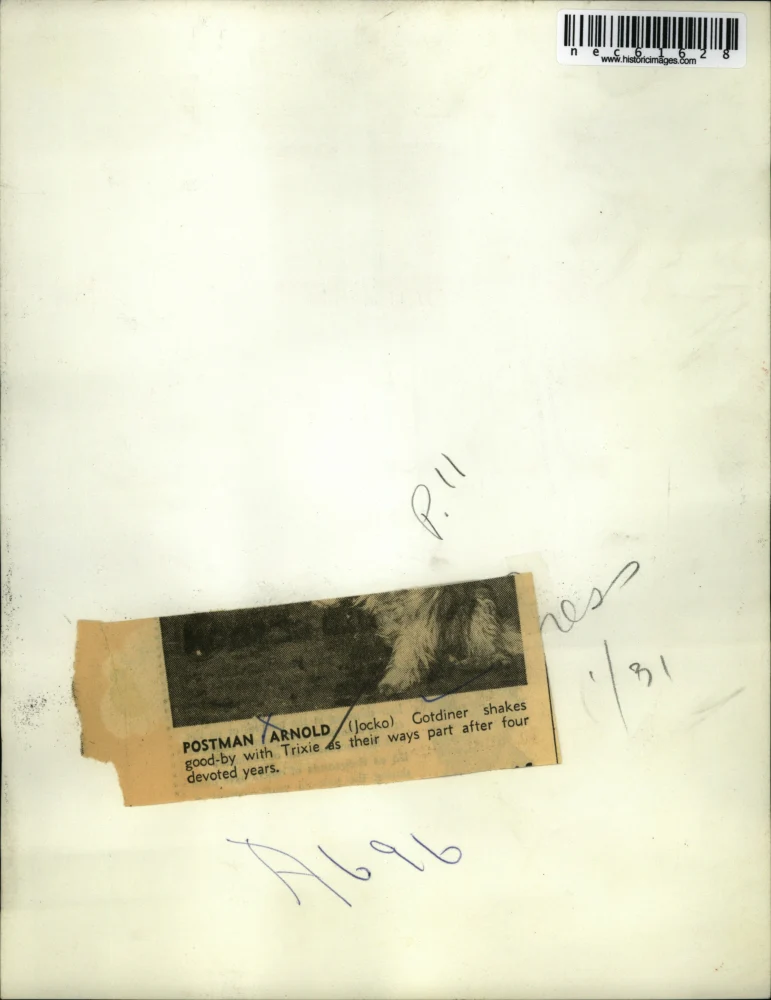 Press Photo Postman Arnold Gotdiner & Pet Dog Part After 4 Years - Image 2