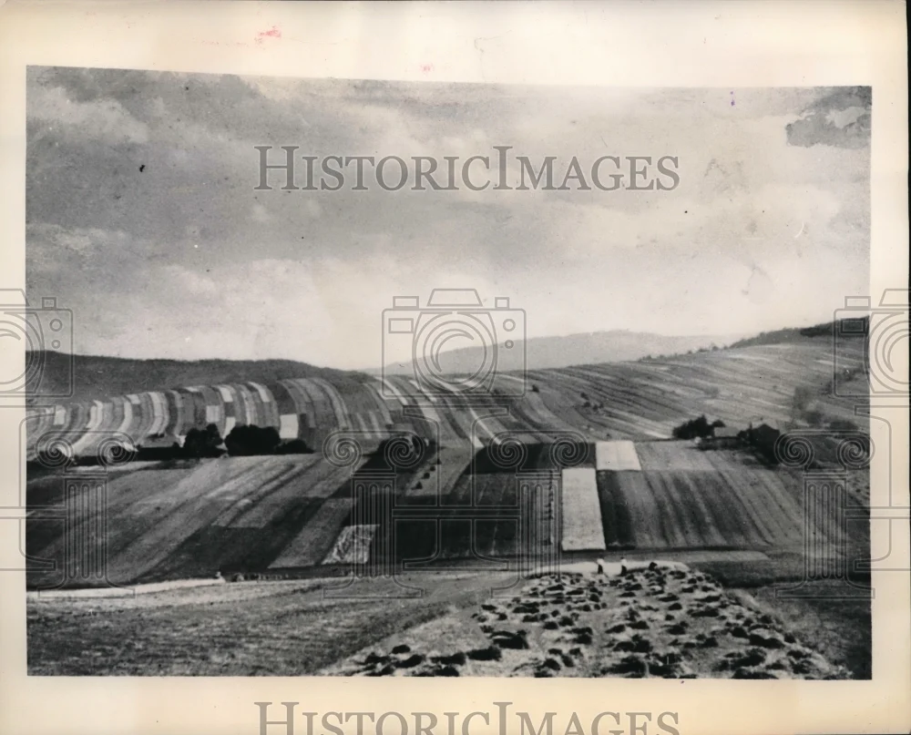1948 Press Photo Small narrow plots of land in Poland