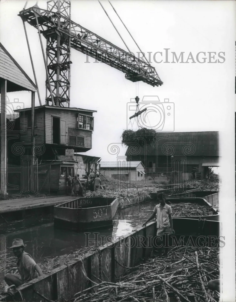 1965 Press Photo La Bonne Intention plantation