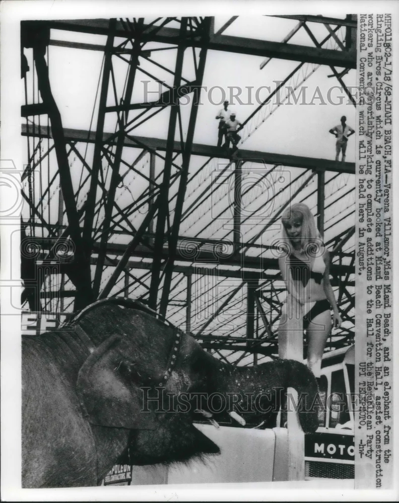 1968 Press Photo Verena Villamor, Miss Miami Beach, with circus elephant