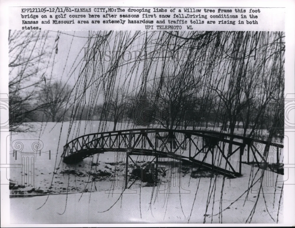 1961 Press Photo Drooping limbs of Willow tree on the foot bridge on golf course