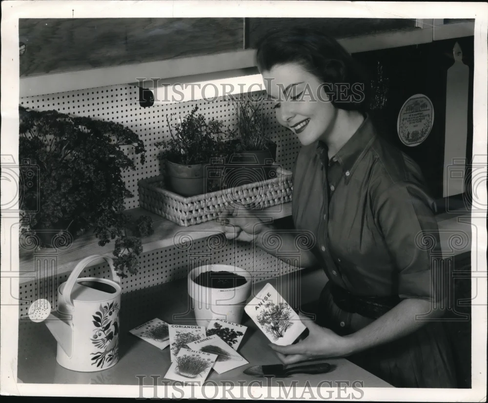 1957 Press Photo Fluorescent light helps growth of plants