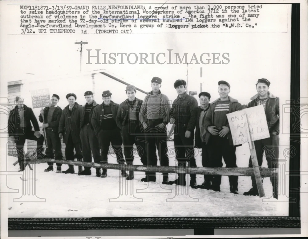 1959 Press Photo The latest outbreak of violence in the Newfound loggers' strike