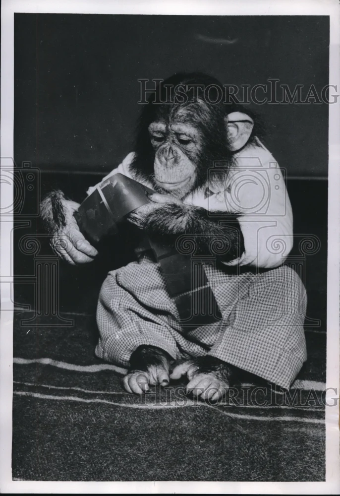 1954 Press Photo Maroc took pictures of him by a photographer in Denmark