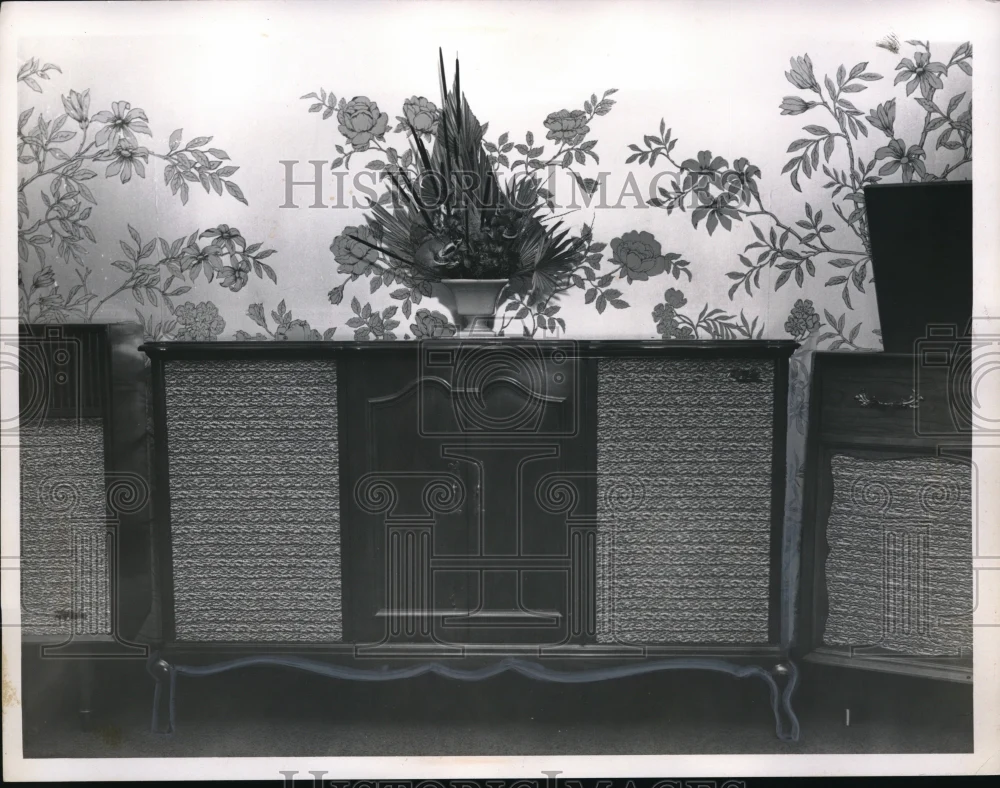 1959 Media Photo Plant Display in Home