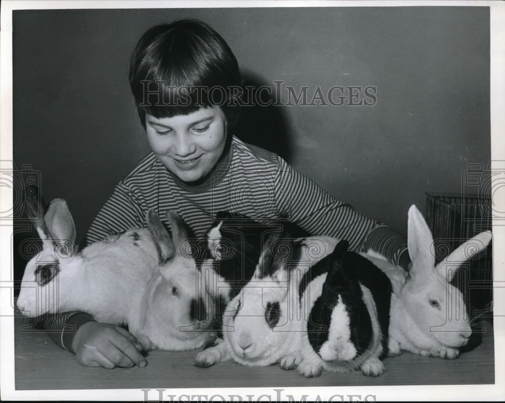 1968 Press Photo Rita Wessolek With APL Rabbits From Fairyland