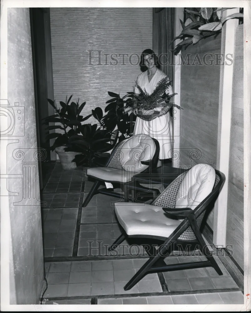 1957 Press Photo Brilliant yellow chairs in black