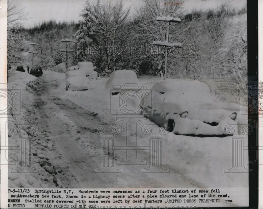 1956 Press Photo Springville NY Hundreds were marooned as a four foot blanket of