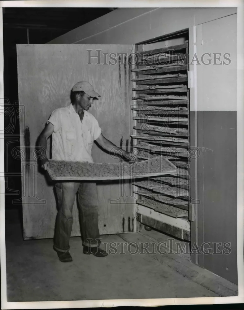 1955 Press Photo Don Raymond Monkey Kepers Okatie Farms Food For Creatures