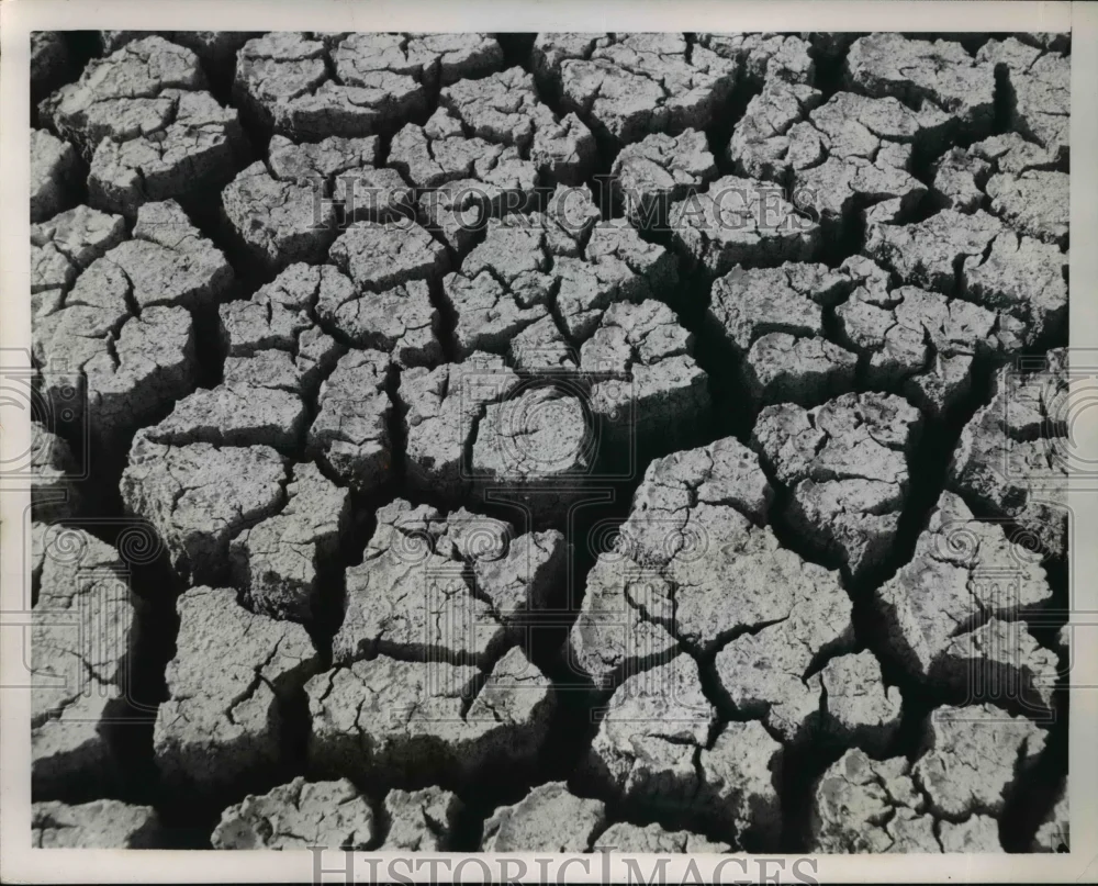 1953 Press Photo Sugar Lake Bottom Filled With Cracks in Mud Sugar Lake, MO