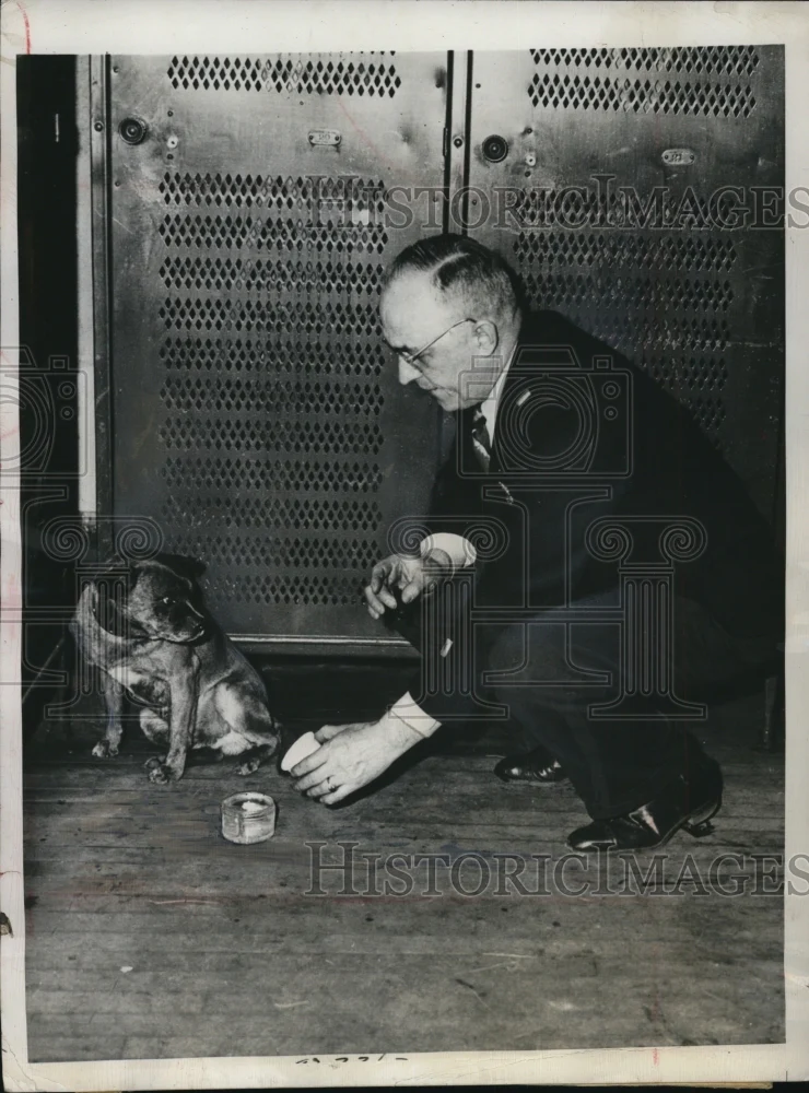 1947 Press Photo Orange NJ Policeman Henry Breitenkam found Pepsy trotting at