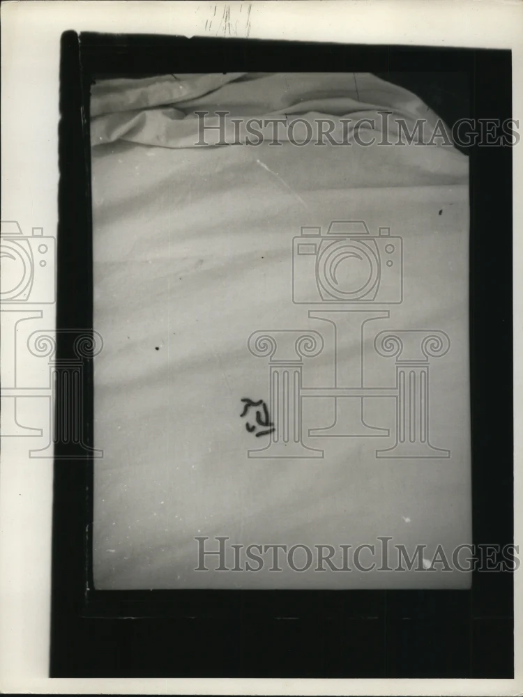 1936 Press Photo A group of caterpillars