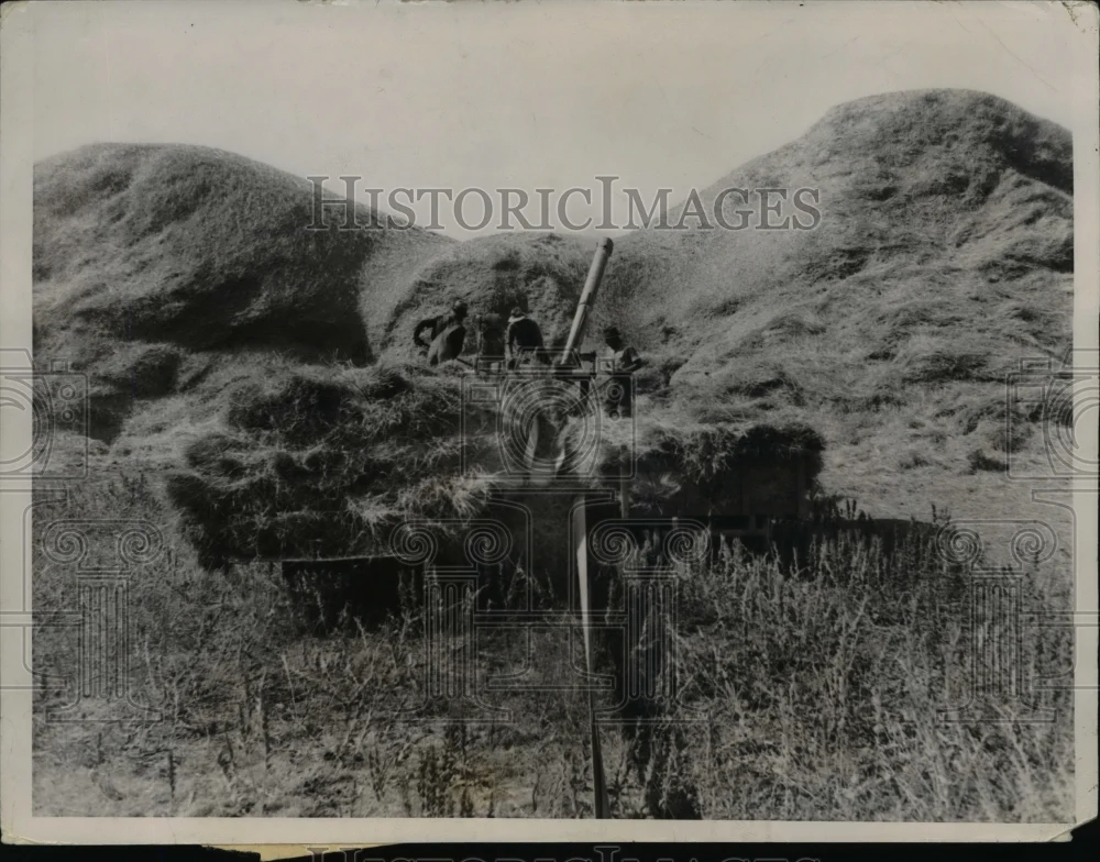 1936 Press Photo Kansas Wheat Crop Bumper - nee30048