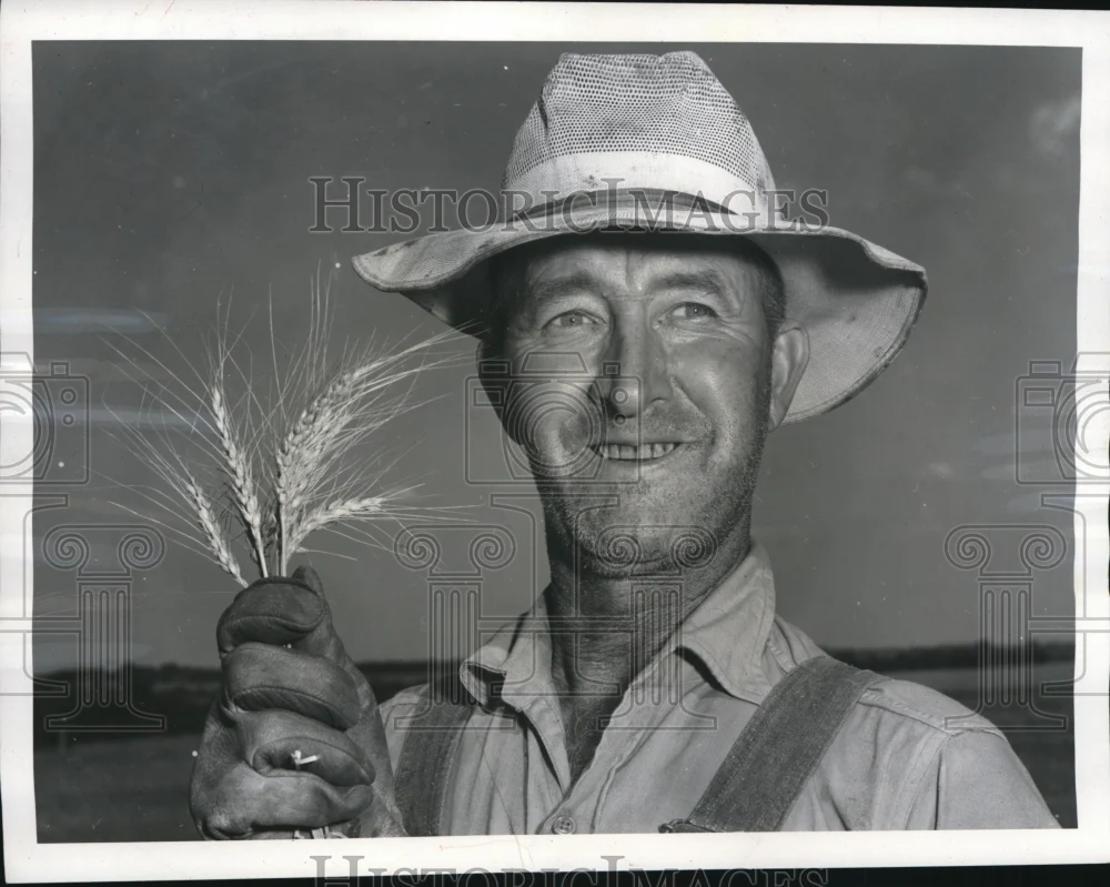 1956 Press Photo Leo Garver on His Wheat Farm - nee33664