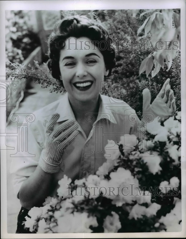 1955 Press Photo advertisement for gardening gloves - nee65730