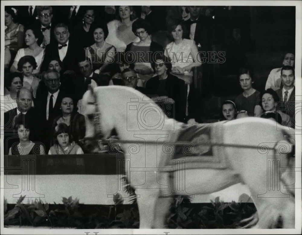 1964 Press Photo Lady Bird Johnson at Lipizzaner Horse Show - nef14307