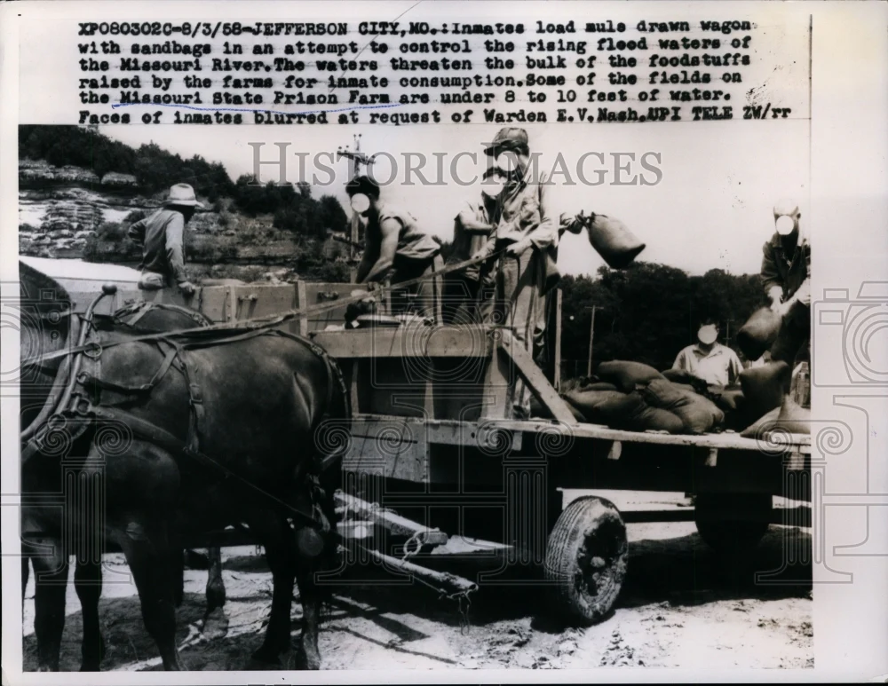 1958 Press Photo Missouri State Prison Farm Inmates Work in Flood Preparation