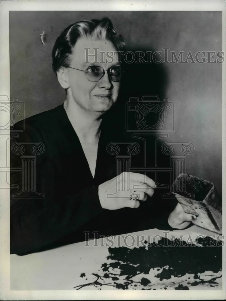 1942 Press Photo Bernice Warner Owner of Fishworm Farm Sugar Allotment 8 Puonds