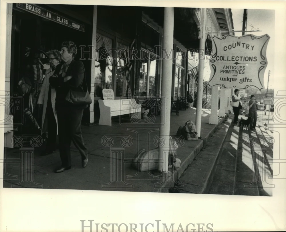 1981 Press Photo Storefronts of Warm Springs Village, Georgia - nef57616