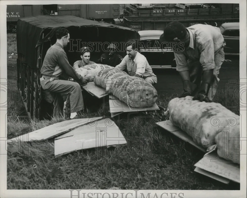 1946 Press Photo New York City Yards - nef62781
