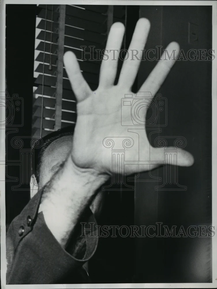 1960 Press Photo NEW YORK - neny19946
