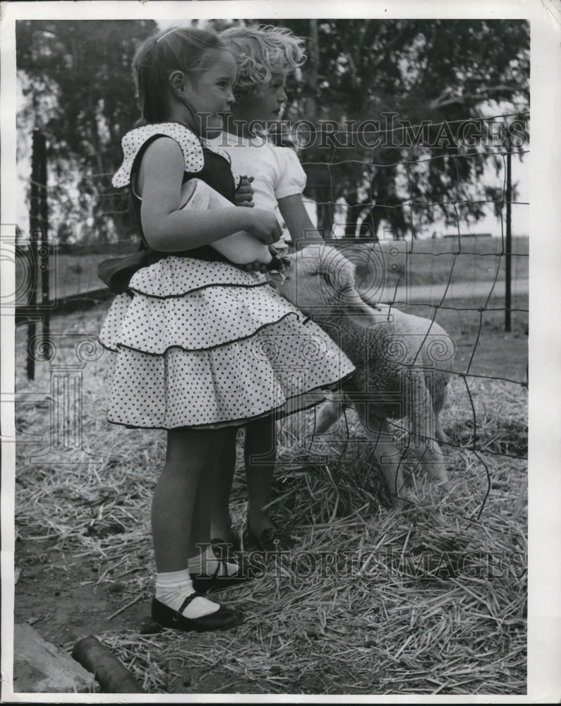 1955 Press Photo Dianah Duflock and Carol Gowman feed lost lamb.