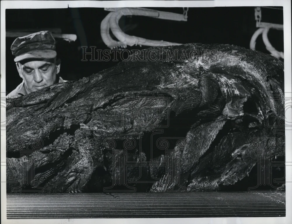 1961 Press Photo Mill Workman Kneading Uncured Rubber Batch, Goodyear Tire Co.