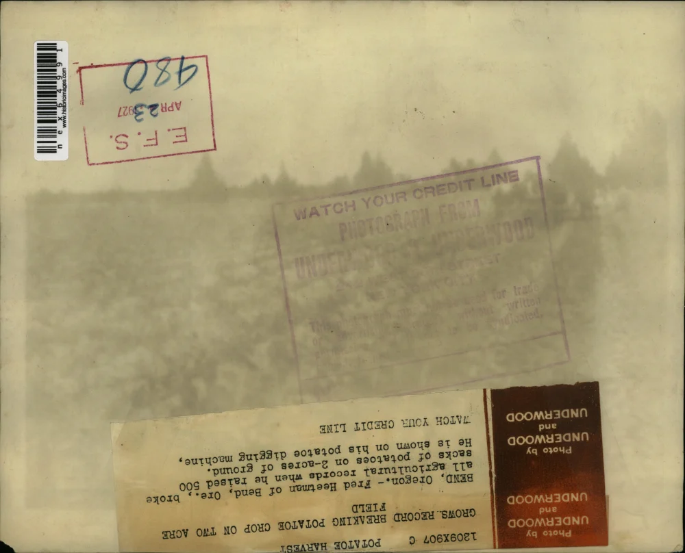 1927 Press Photo Bend Oregon Fred Heetman raises 500 sacks of potatoes on 2 acre - Image 2