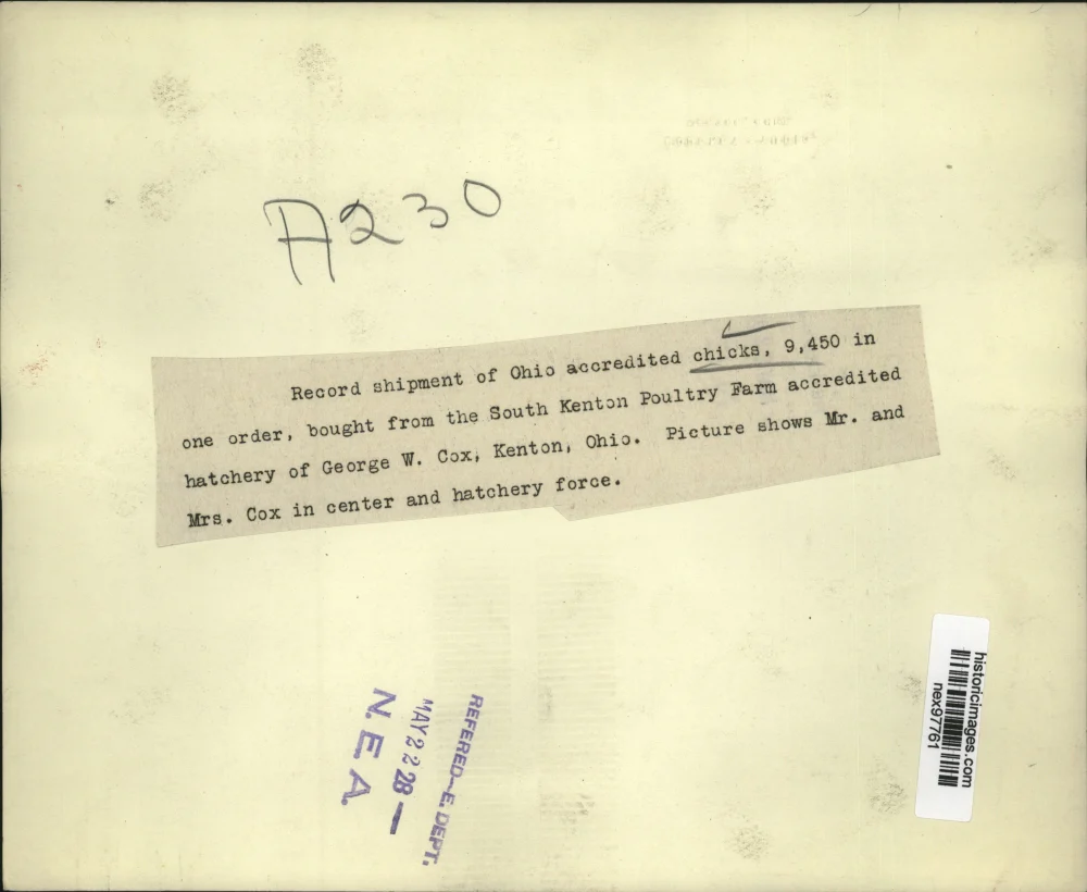 1928 Press Photo Record Shipment of Ohio Accredited Chicks 9450 One Order - Image 2