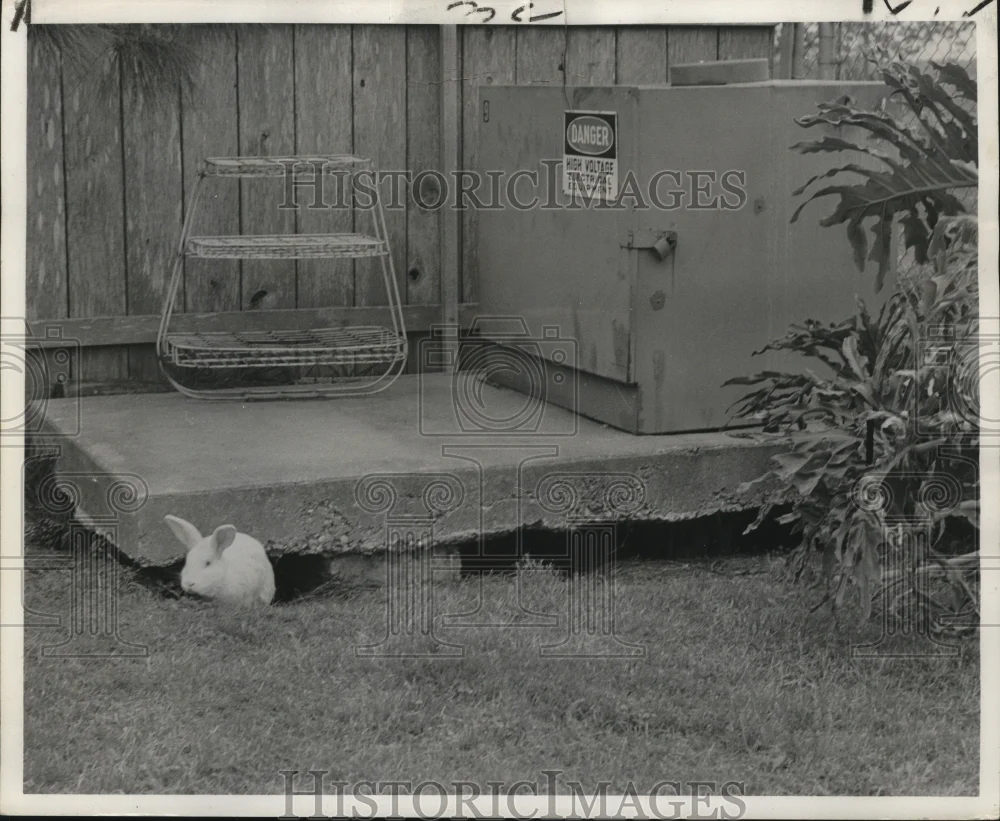 1975 Press Photo Draining wetlands, causes repair problems for home owners