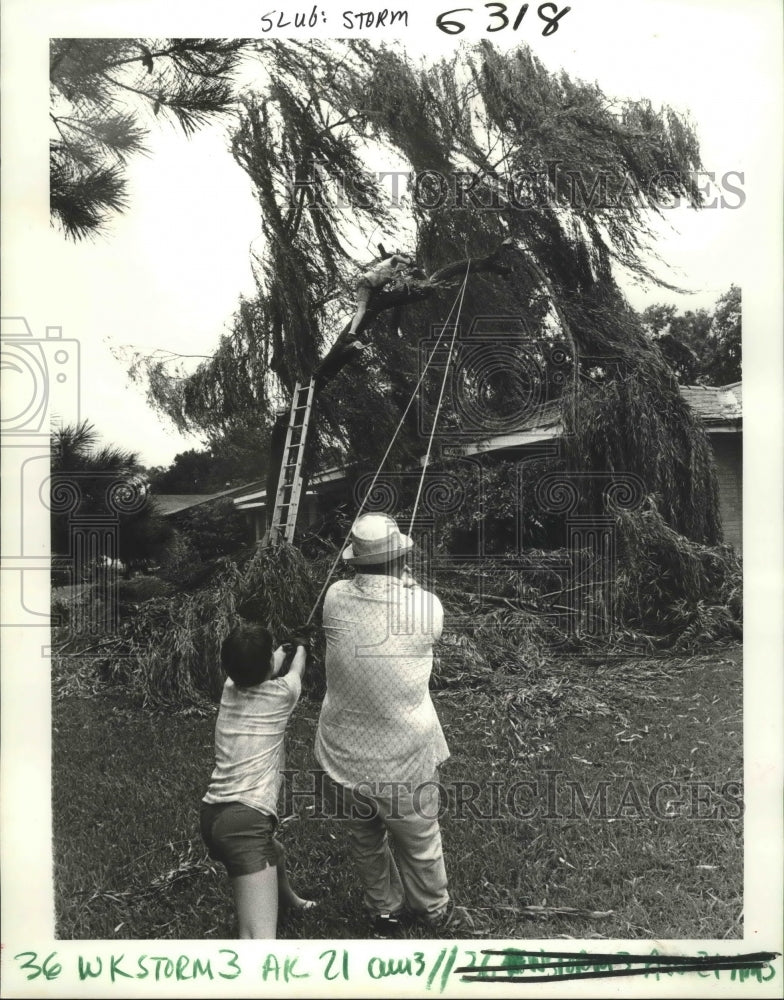 1985 Press Photo Hurricane Danny - Frank & Shawn Fouchi Attempt to Move Tree