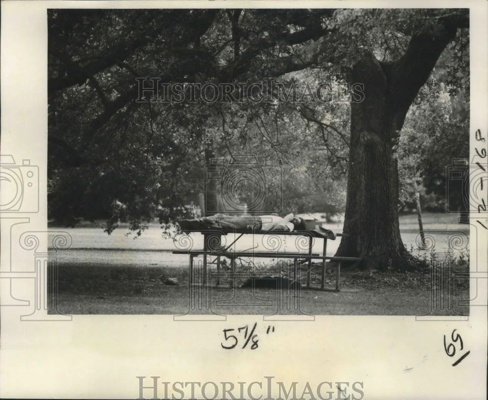 1977 Press Photo Audubon Park - Man and Dog Nap in Audubon Park - noa17693