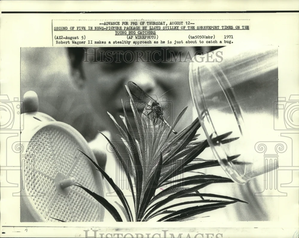 1971 Press Photo Young bug catcher Robert Wagner II makes stealth approach.