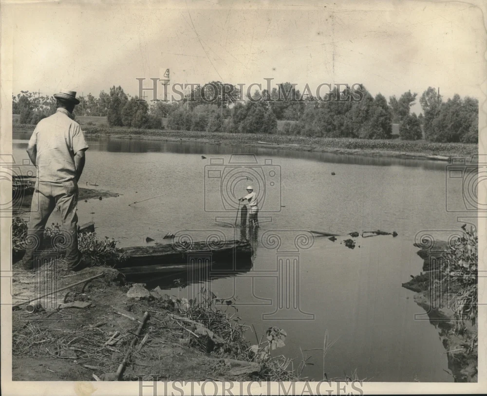 1966 Press Photo Employees at Freiberg Mahogany Mill Pond checking logs