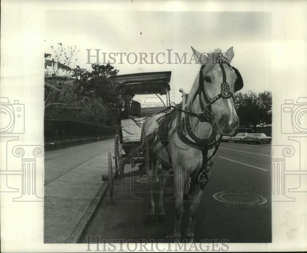 1968 Press Photo Horse drawn carriages in the Vieux Carre scene - nob94440