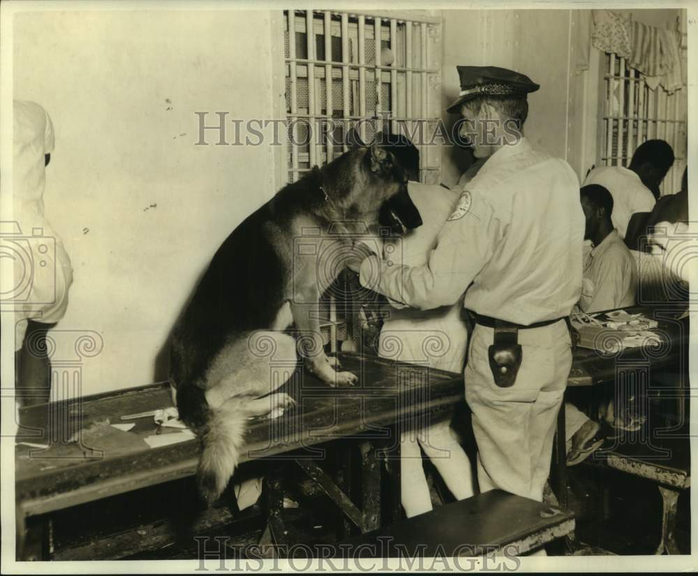 1964 Press Photo Deputy Leroy Benton with dog in prison, Louisiana - noc03377