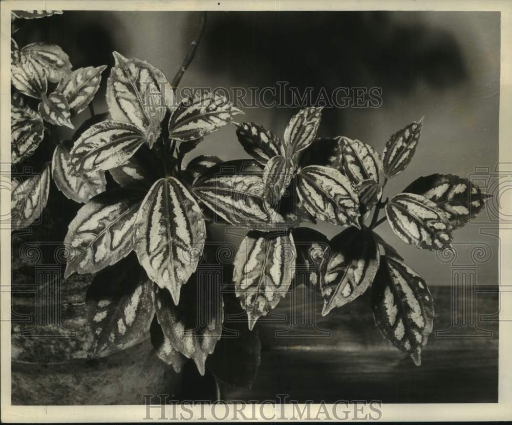 1959 Press Photo Aluminum Plant and Rabbit Tracks Plant - noc12815