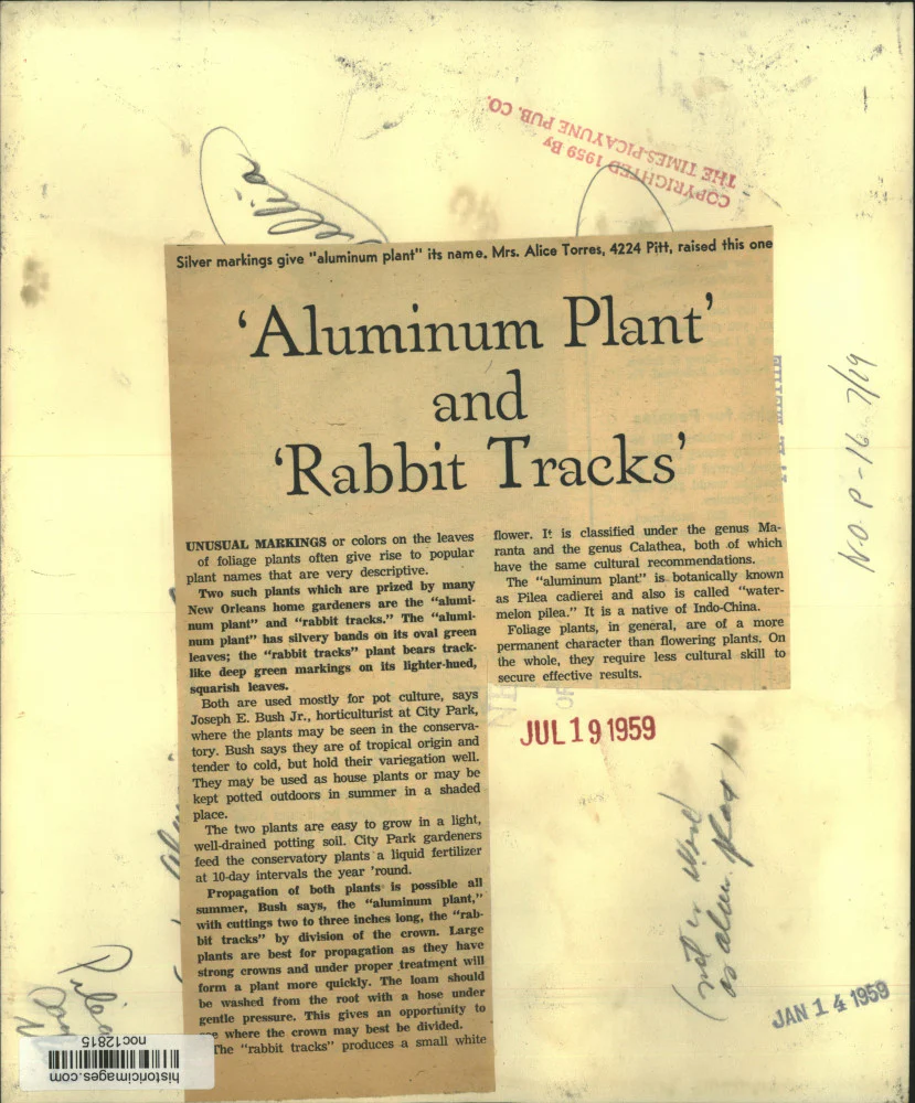 1959 Press Photo Aluminum Plant and Rabbit Tracks Plant - noc12815 - Image 2