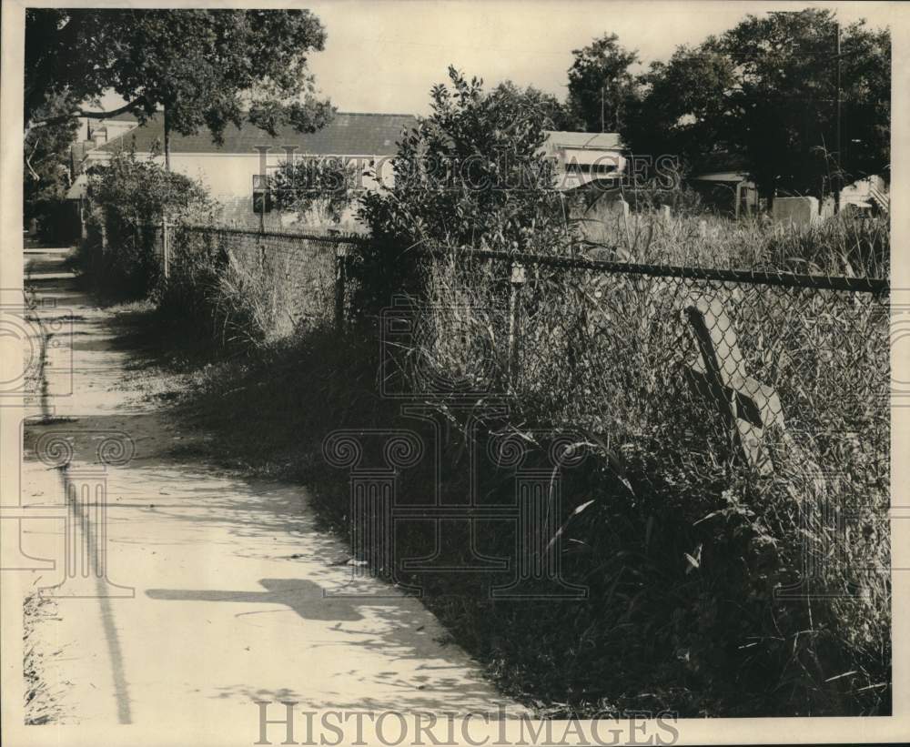 1968 Press Photo Unkept area of Saint Mary's Cemetery. - noc31101