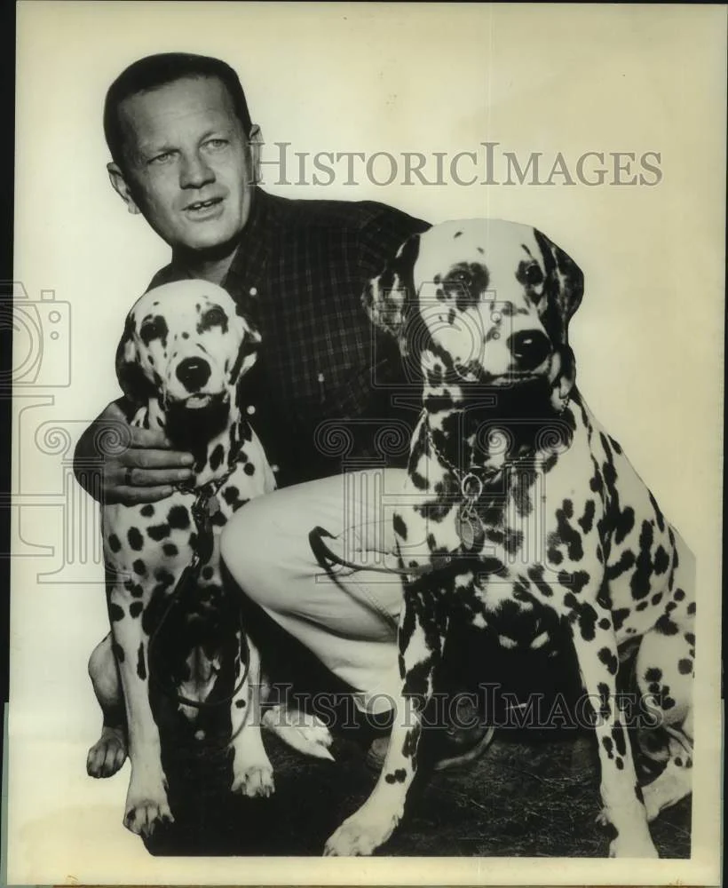1964 Press Photo Author Mike Jackson with his pet Dalmation dogs - nop43261