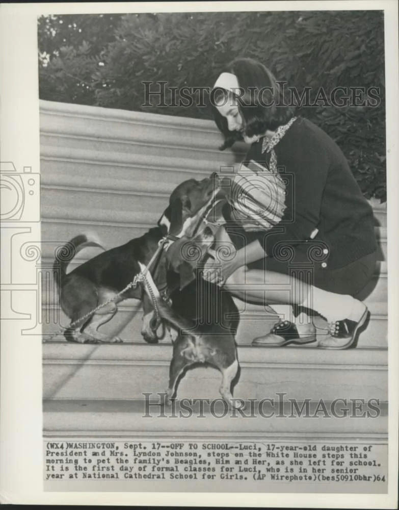 1964 Press Photo Luci Johnson and family Beagles, Him and Her at White House