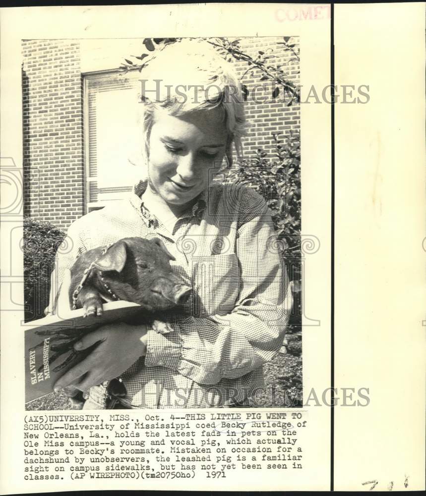 1971 Press Photo Becky Rutledge holds a pig on the Univ. of Mississippi campus