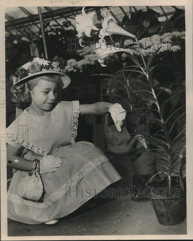 1962 Press Photo Karen Lanasa Gets Lilies Ready for Easter, New Orleans