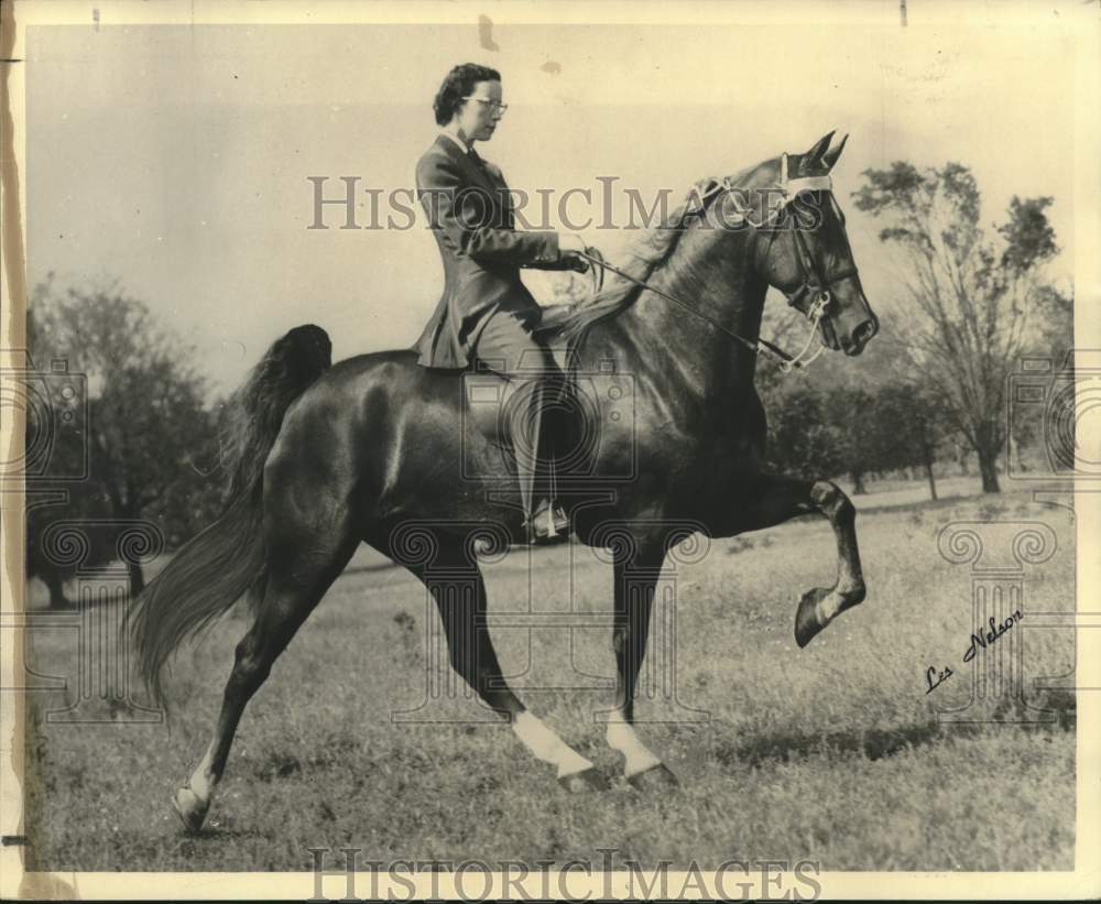 1956 Press Photo Marjorie Gill Rides Show Horse Pride's Lady Lin - nox27256