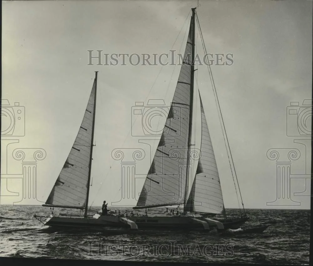 1982 Press Photo Sailboats out on the water. - nox44459